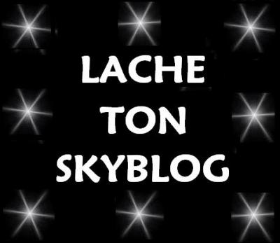 laisse ton blog